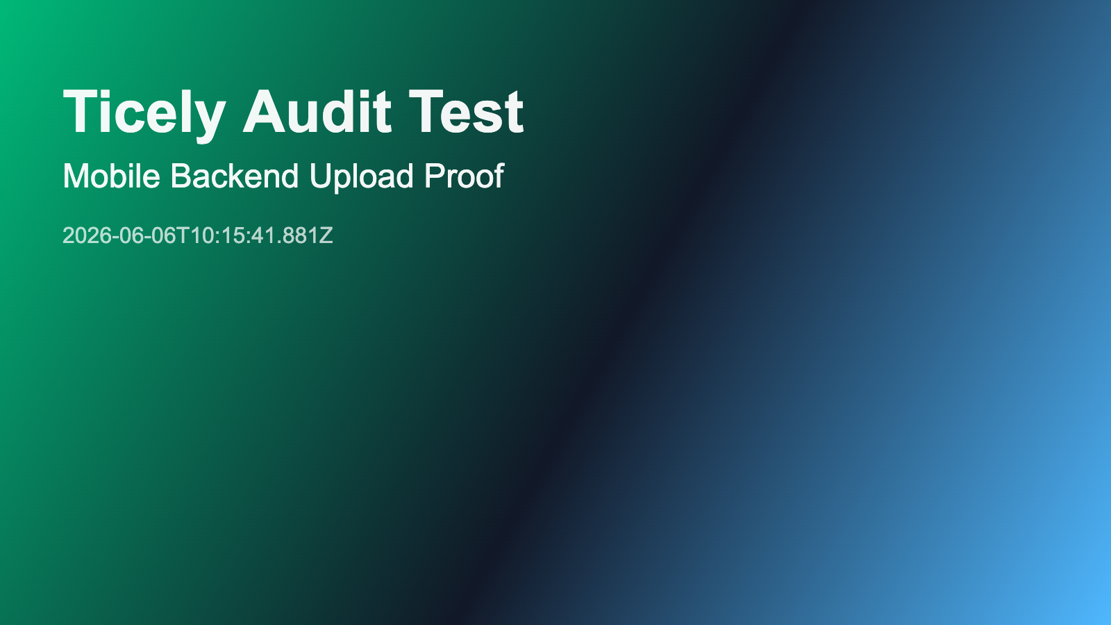 Codex Mobile Audit Test 202606061013